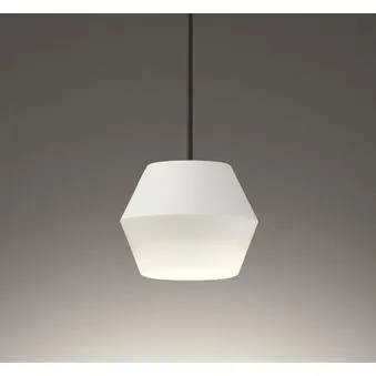 オーデリック 波佐見焼 レール用和風ペンダントライト 白土 LED（電球色） OP252979LR