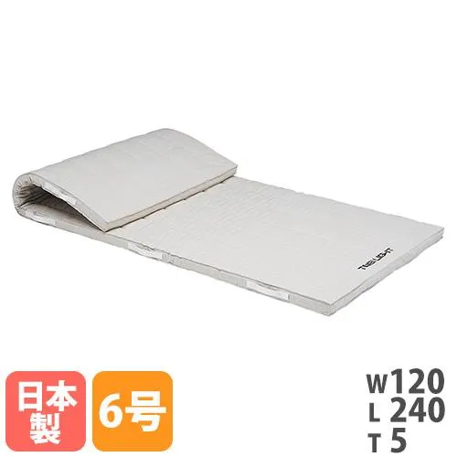 法人限定  体操マット トーエイライト 6号帆布 幅120×長さ240×厚さ5cm コンビネーションマット 体育マット スポーツマット 体育用品 SGマーク付 国産 T1727