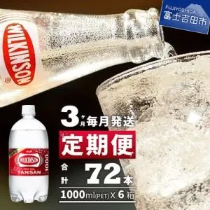 ふるさと納税 強炭酸水 【3ヶ月お届け！】 ウィルキンソンタンサン PET1L×2箱 (24本入) 定期便 炭酸 山梨県富士吉田市
