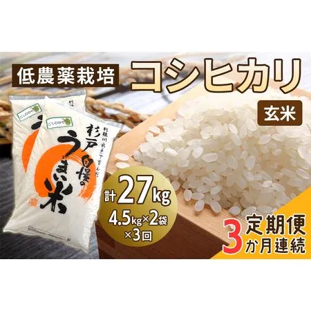 ふるさと納税 低農薬栽培 コシヒカリ 選べる玄米 3ヶ月連続定期便＜計27kg（4.5kg×2袋×3回）＞ | 米 お米 コメ ご飯 お取り寄せ 贈り.. 埼玉県杉戸町
