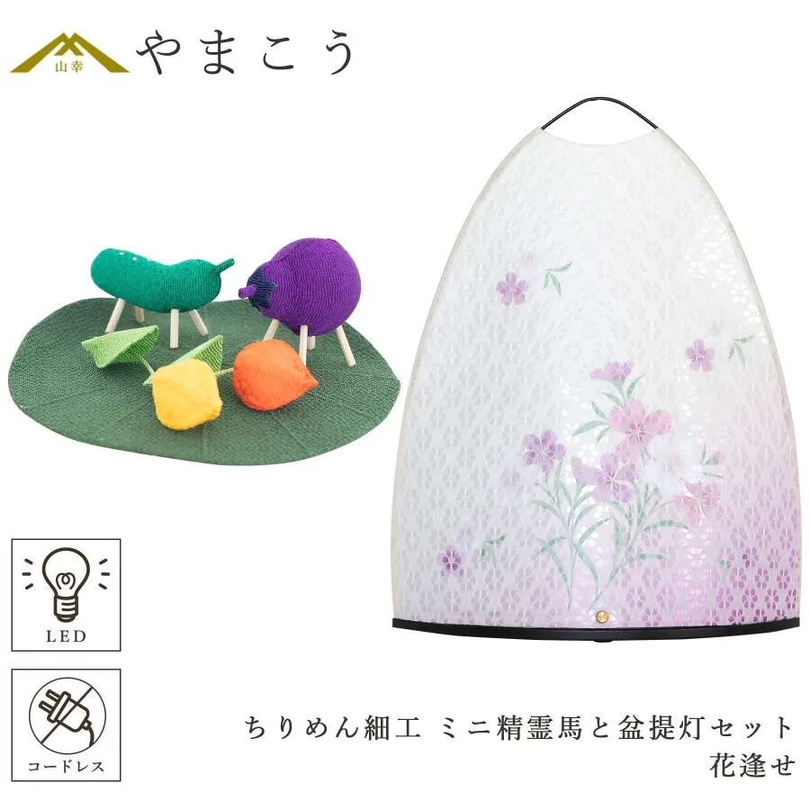 本日発送  【MEUHZBSOBMZ】 限定デザイン