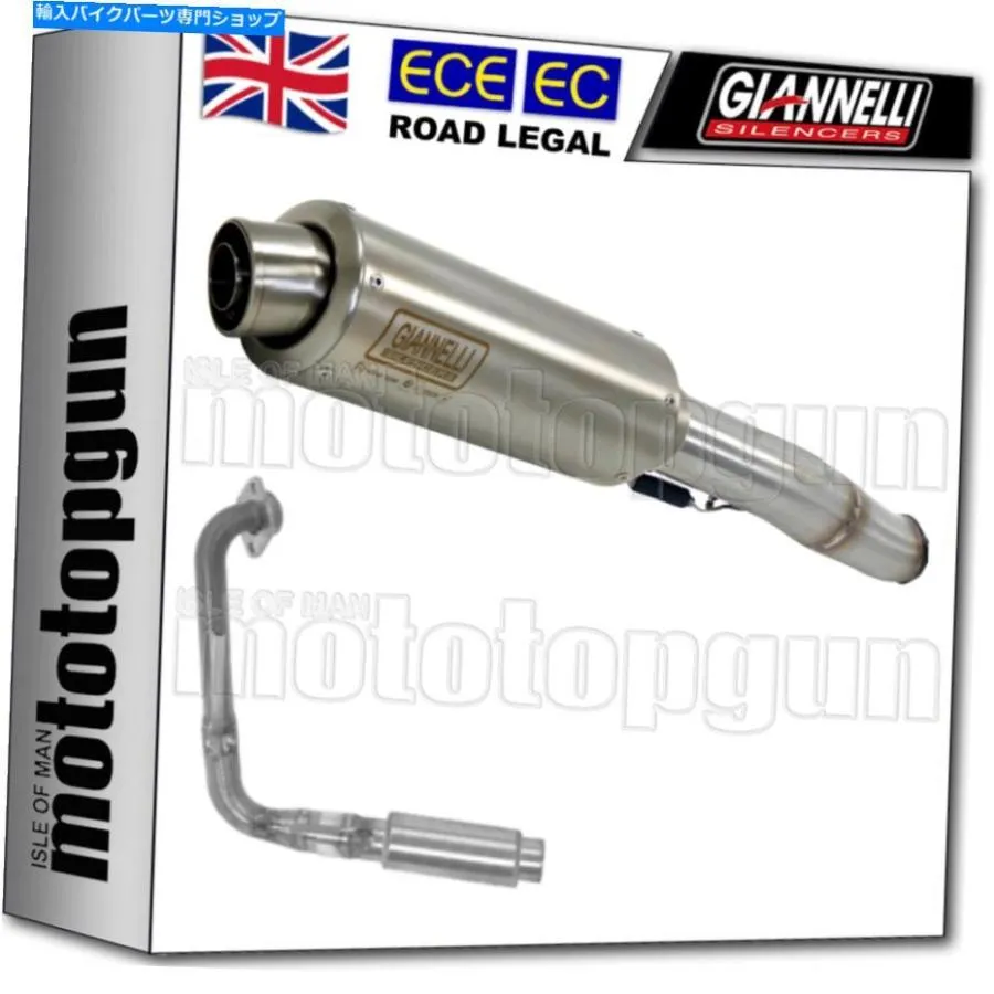 サイレンサー GiannelliフルサイレンサーHomcat X-Pro St Yamaha YZF-R 125 2017 17 2018 18 GIANNELLI FULL SILENCER HOMCAT X-PRO ST YAMAHA YZF-R