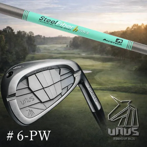 ＃6-PW 5本セット / カスタム/左右 バルド ウヌス BALDO UNUS アイアン 鍛造 / スチールファイバー Hツアー シリーズ アイアン トゥルーテンパー / 正規販売店