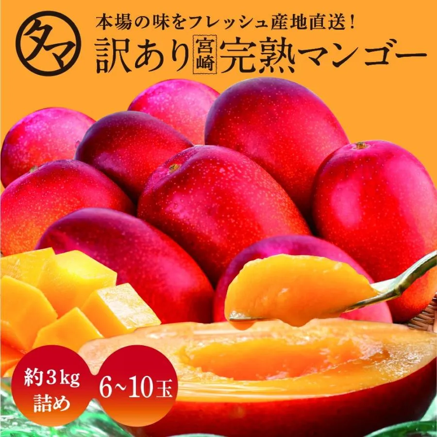 今季注目 M6J6DRQQ4XP 型番:M6J6DRQQ4XP