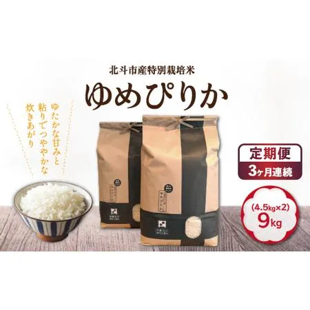 今季注目 本日発送  【M9PP9II0DB5】 限定デザイン