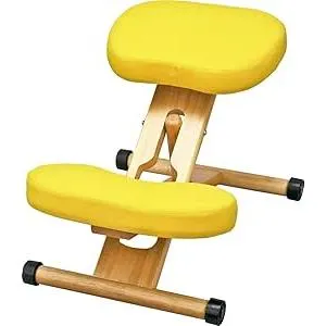 宮武製作所 プロポーションチェアキッズ 補助クッション付 幅48.5×奥行61-68×高さ43-64cm レモン 姿勢サポート CH-889