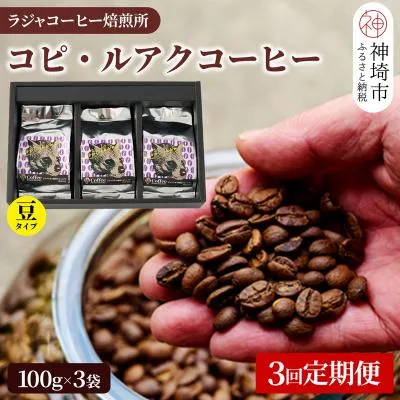 ふるさと納税 神埼市 ジャコウネコ珈琲 コピ・ルアク 100g×3袋【3回定期便】(H070106)
