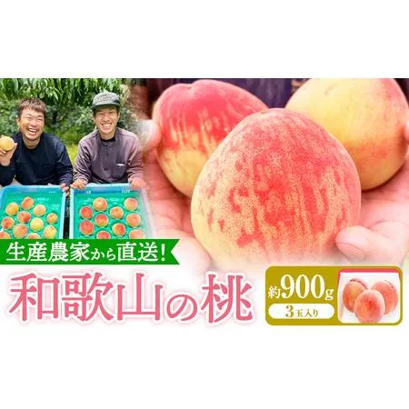 [圧倒的人気 ] MXEQJPWEIJX (MXEQJPWEIJX)