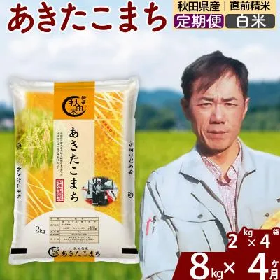 大人気 在庫あり MPXNC29NEQH [MPXNC29NEQH]