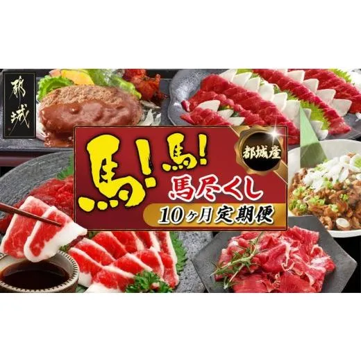 ふるさと納税 馬肉 宮崎県 都城市 都城産馬 馬 馬尽くし定期便(10ヵ月)_T80(10)-0101_(都城市) 定期便 馬刺しブロック ロース 赤身 タテガミ フタエゴ 馬ハン…