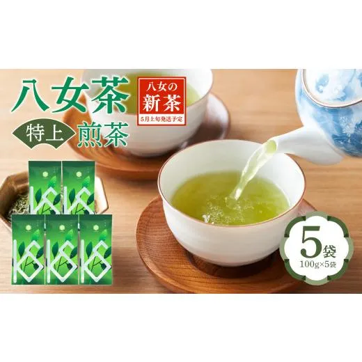 ふるさと納税 お茶類 緑茶（茶葉・ティーバッグ） 福岡県 八女市  2026年新茶 八女茶 特上煎茶 100g×5袋 茶 お茶 日本茶 緑茶 八女茶 新茶 福岡県 八女市
