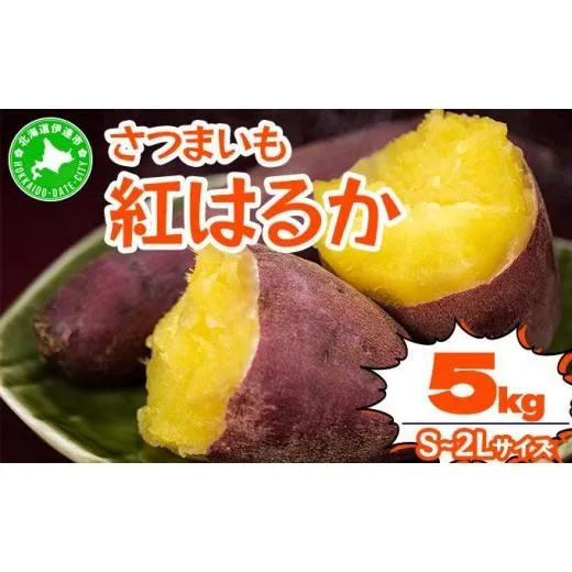 ふるさと納税 野菜類 サツマイモ 北海道 伊達市 《高糖度》さつまいも 紅はるか 5kg 産地直送 熟成 高糖度 サツマイモ 芋 甘い スイートヤバ芋 産地直送 北海…