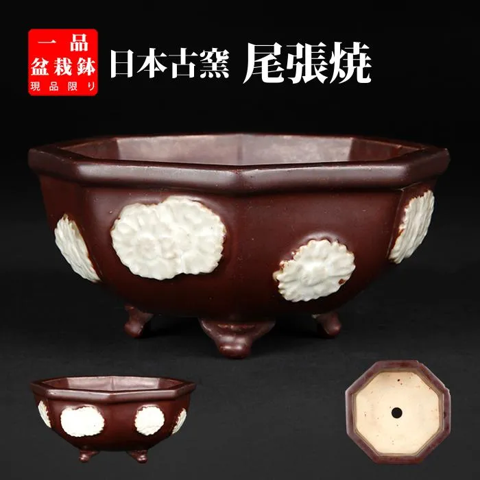 盆栽鉢 「尾張紫釉貼花文八角鉢」植木鉢 瀬戸 磁器物 6号 18cm 紫 パープル  現品限り