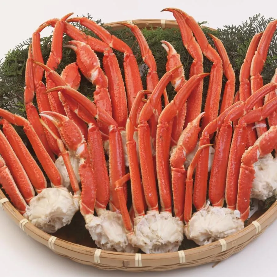 鮮度の鬼 メガ盛り ボイル ずわいがに 3kg 肩脚 かに鍋 焼き蟹 ギフト プレゼント