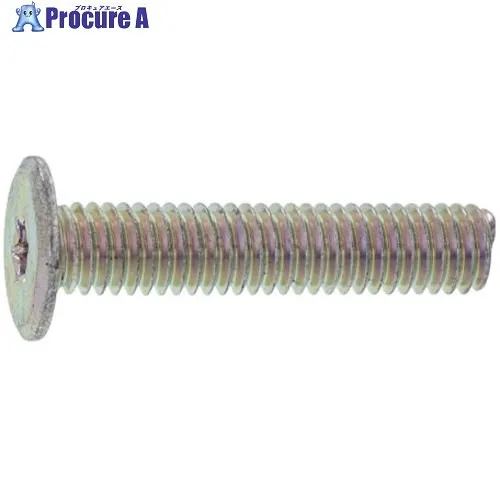 SUNCO ニッケルTRXスリムヘッド小ネジ 4×25 T8 (500本入) 00-00-A400-0040X0250-05 1箱 ■▼230-6570 【送料都度見積】