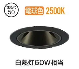 大光電機 グレアレスダウンライト本体 LZD-93735RBB Φ50 白熱灯60W相当 2500K 高演色 電源別売 工事必要