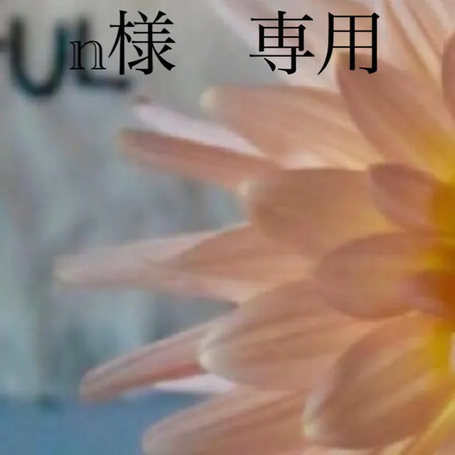 n様 専用