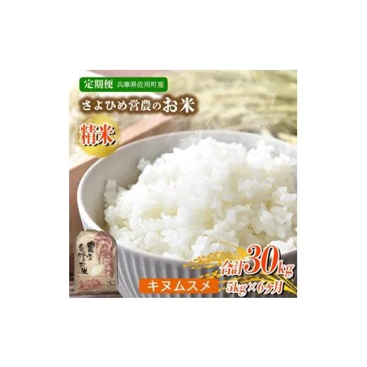 ふるさと納税 米 兵庫県 佐用町  6ヵ月定期便 兵庫県佐用町産 お米 5kg×6ヵ月 (計30kg) 精米 キヌムスメ