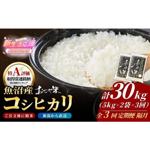 売れ筋 在庫あり  【MICSIF7RGAM】 限定デザイン