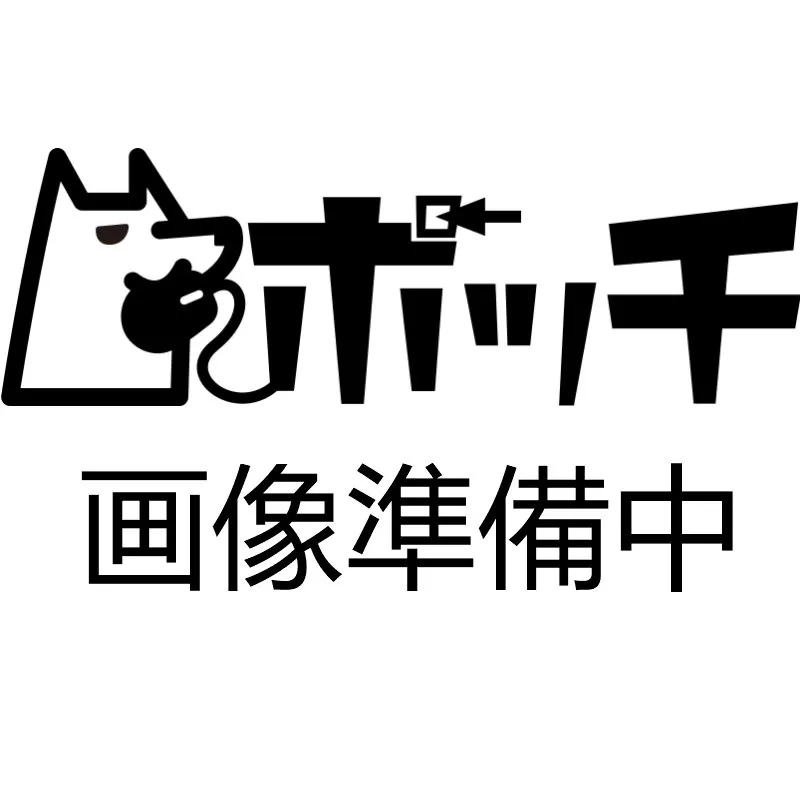 ソフトボールグラブ オールラウンド カラー:BK サイズ:RH