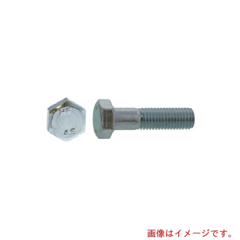 サンコーインダストリー（SUNCO） ドブ 六角ＢＴ（半ネジ（ＨＦ １０Ｘ７０ （１００本入） 【品番：B0-00-H010-01000700-12】
